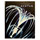 Avatar-Extended-Collectors-Edition-produktbild-04_klein.jpg Avatar-Extended-Collectors-Edition-produktbild-04_klein.jpg