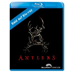 Antlers-2020-draft-US-Import.jpg Antlers-2020-draft-US-Import.jpg