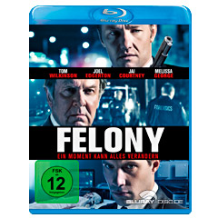 Felony-2013-DE.jpg Felony-2013-DE.jpg