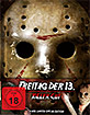Freitag der 13. (2009) (Killer Cut) (Limited Mediabook Edition) (Cover A) Blu-ray