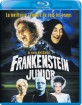 Frankenstein Junior (FR Import ohne dt. Ton) Blu-ray