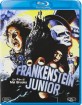 Frankenstein Junior (IT Import ohne dt. Ton) Blu-ray