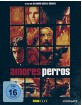 amores-perros-2000-special-edition-2_klein.jpg