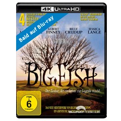 big-fish-4k-vorab.jpg big-fish-4k-vorab.jpg