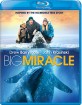Big Miracle (2012) (US Import ohne dt. Ton) Blu-ray