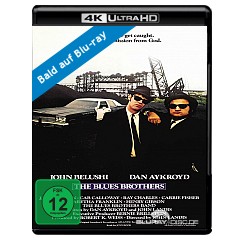 blues-brothers-4k-4k-uhd-de.jpg blues-brothers-4k-4k-uhd-de.jpg