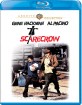 Scarecrow (1973) - Warner Archive Collection (US Import ohne dt. Ton) Blu-ray