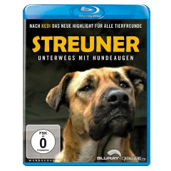streuner---unterwegs-mit-hundeaugen-de.jpg streuner---unterwegs-mit-hundeaugen-de.jpg