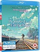 The Place Promised in Our Early Days + Voices of a Distant Star (UK Import ohne dt. Ton) Blu-ray
