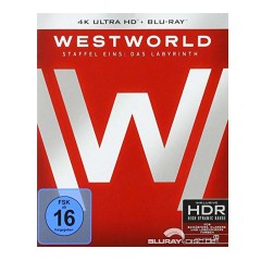 westworld---staffel-eins-das-labyrinth-4k-4k-uhd---blu-ray--neuauflage.jpg westworld---staffel-eins-das-labyrinth-4k-4k-uhd---blu-ray--neuauflage.jpg