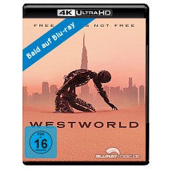 westworld-staffel-drei-4k-4k-uhd-und-blu-ray--de.jpg westworld-staffel-drei-4k-4k-uhd-und-blu-ray--de.jpg