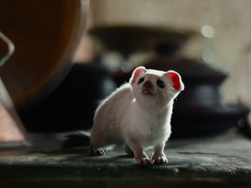 His_Dark_Materials_Reviewbild-01.jpg His_Dark_Materials_Reviewbild-01.jpg