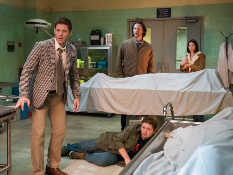 Supernatural-Staffel-14-Reviewbild-03.jpg Supernatural-Staffel-14-Reviewbild-03.jpg