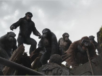 Planet-der-Affen-Revolution-News-01_3.webp Planet-der-Affen-Revolution-News-01_3.webp