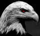 black_eagle