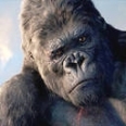 kong