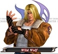 TerryBogard