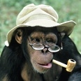 prof.chimp