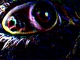 Psychodude