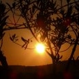 ru_cilento
