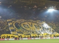 BVB-Fan66