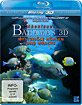 Abenteuer-Bahamas-3D-Mysterioese-Hoehlen-und-Wracks-Blu-ray-3D_klein.jpg