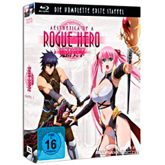 Aesthetica-of-a-Rogue-Hero-Staffel-1-DE.jpg