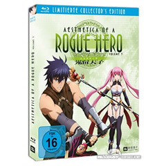 Aesthetica-of-a-Rogue-Hero-Vol-3-Limited-Collectors-Edition.jpg