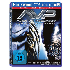 Alien-vs-Predator.jpg