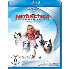 Antarctica-Gefangen-im-Eis.jpg