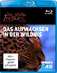 Austin-Stevens-Der-kleine-Leopard-Das-Aufwachsen-in-der-Wildnis_klein.jpg