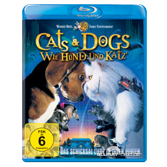 Cats-and-Dogs.jpg
