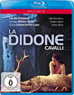 Cavalli-La-Didone_klein.jpg