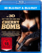 Cherry-Bomb-2011-3D_klein.jpg