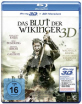 Das-Blut-der-Winkinger-3D-DE_klein.jpg