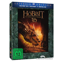 Der-Hobbit-Smaugs-Einoede-3D-Extended-Edition.jpg