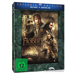 Der-Hobbit-Smaugs-Einoede-Extended-Edition.jpg