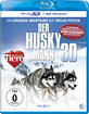 Der-Husky-Mann-3D_klein.jpg