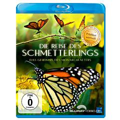 Die-Reise-des-Schmetterlings.jpg