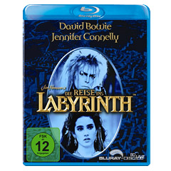 Die-Reise-ins-Labyrinth.jpg