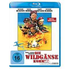 Die-Wildgaense-kommen.jpg