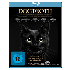Dogtooth-Stoerkanal.jpg