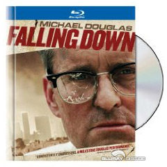 Falling-Down-im-Collectors-Book-RCF.jpg