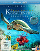 Faszination-Korallenriff-3D-Vol-1-3-Collection-Blu-ray-3D_klein.jpg