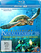 Faszination-Korallenriff-3D-Volume-2-Blu-ray-3D_klein.jpg