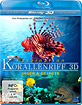 Faszination-Korallenriff-3D-Volume-3-Blu-ray-3D_klein.jpg