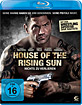 House-of-the-Rising-Sun-2011_klein.jpg