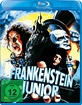 Mel-Brooks-Frankenstein-Junior_klein.jpg