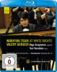 Nobuyuki-Tsujii-at-White-Nights_klein.jpg