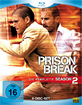 Prison-Break-Staffel-2_klein.jpg